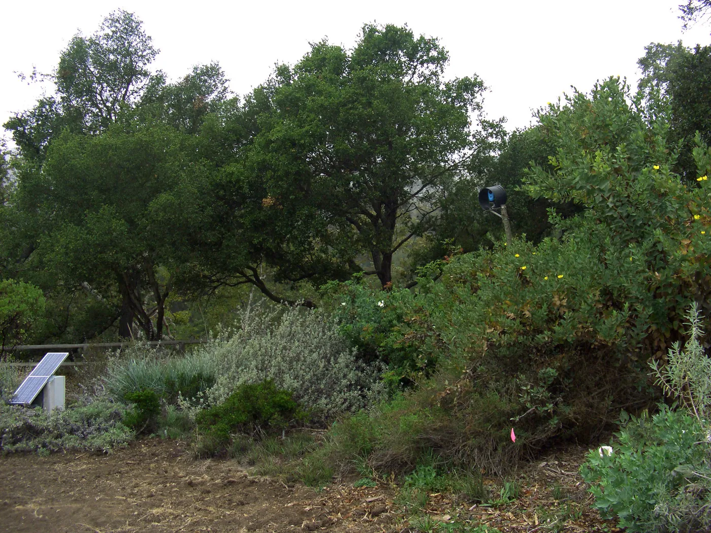Meadow Revival Project Time Lapse Camera Installation