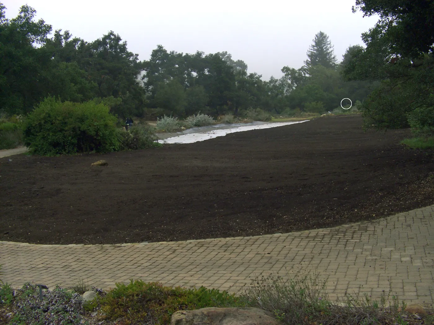 Meadow Revival Project Time Lapse Camera Installation