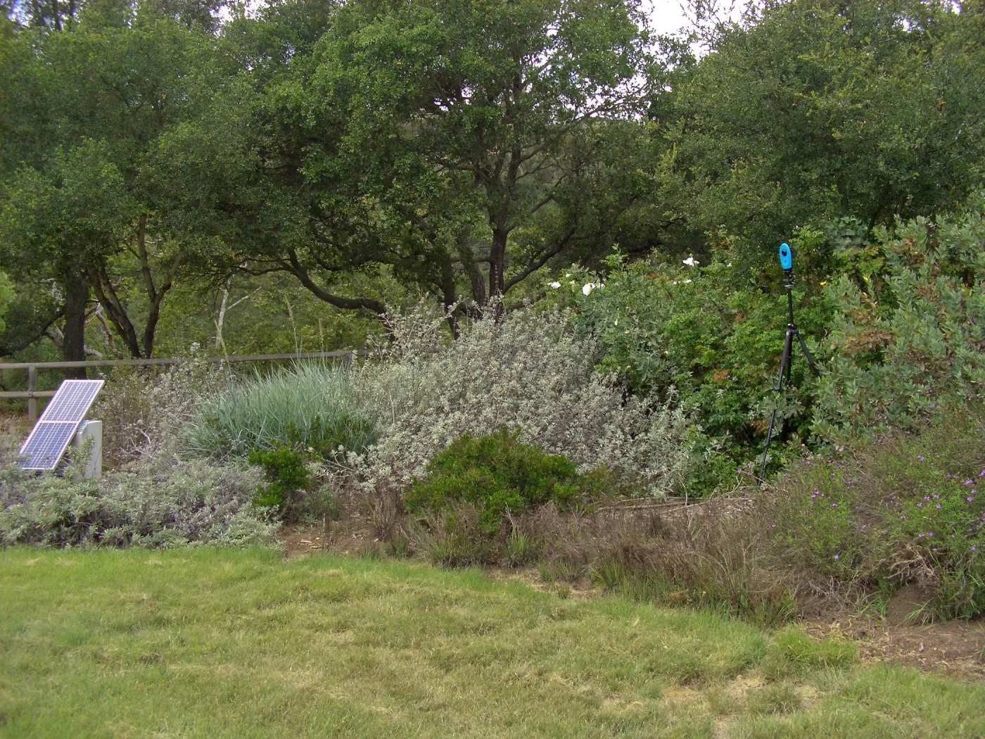 Meadow Revival Project Time Lapse Camera Test