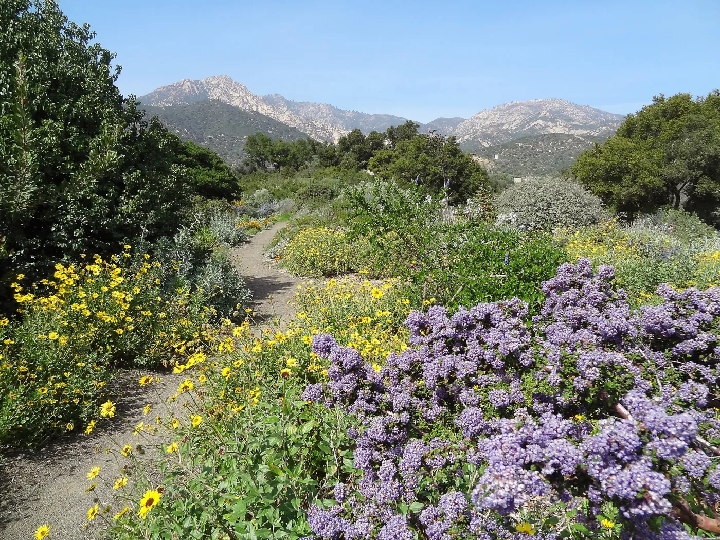 Porter Trail with view to La Cumbre Peak