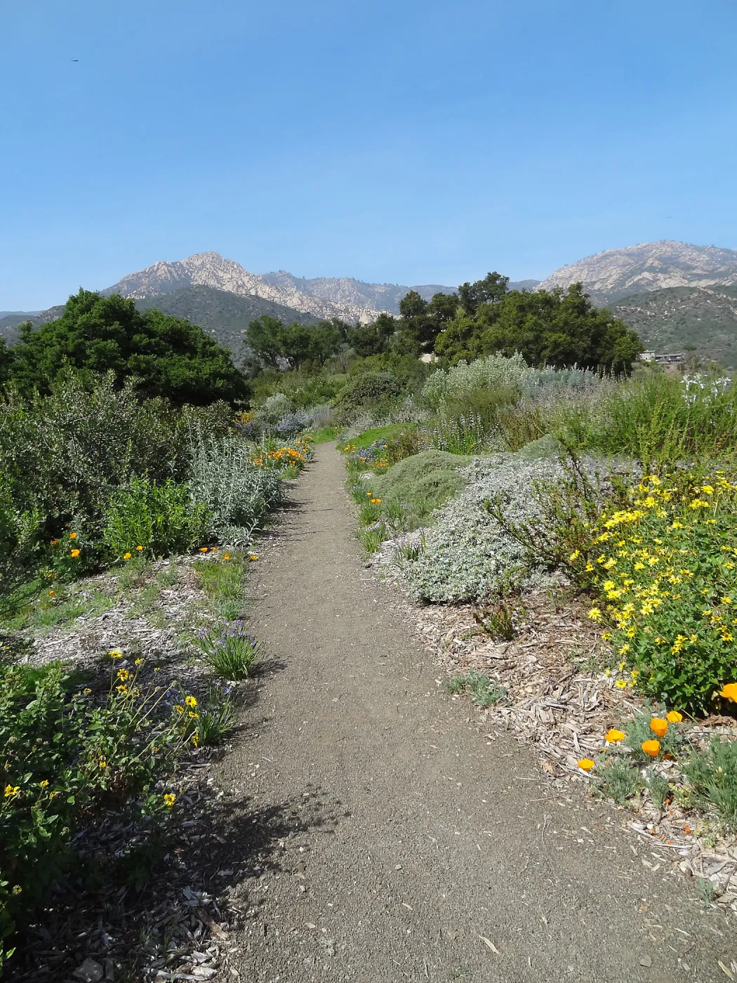 Porter Trail with view to La Cumbre Peak