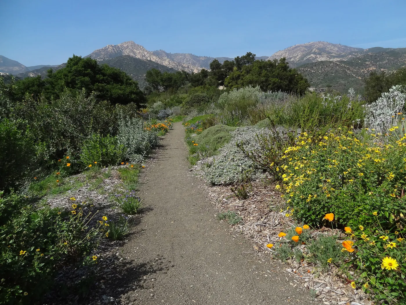 Porter Trail with view to La Cumbre Peak