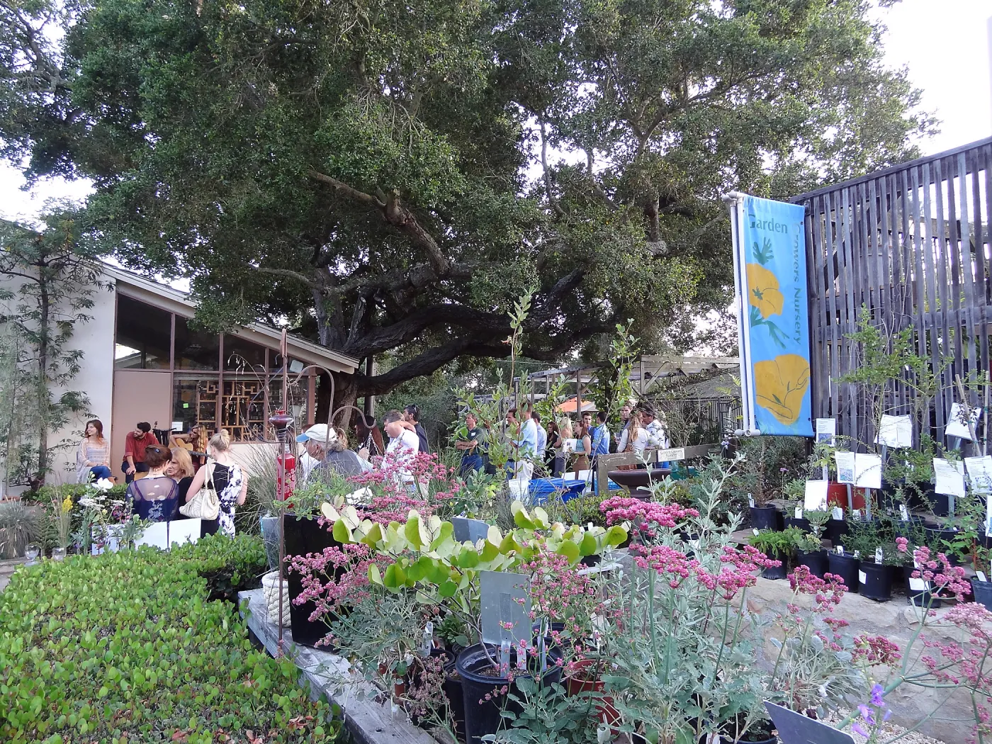 SBBG hosts Santa Barbara Chamber of Commerce Mixer, June 2013, Garden Growers Nursery