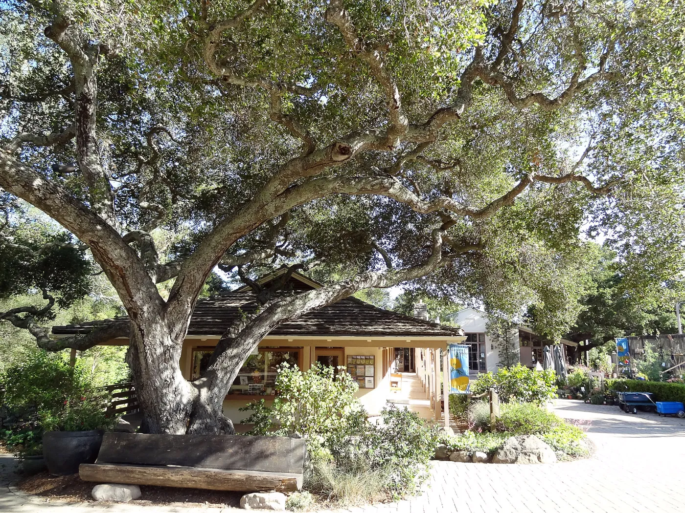 Garden Shop, Garden Entrance, wood bench, entrance oak, SBBG