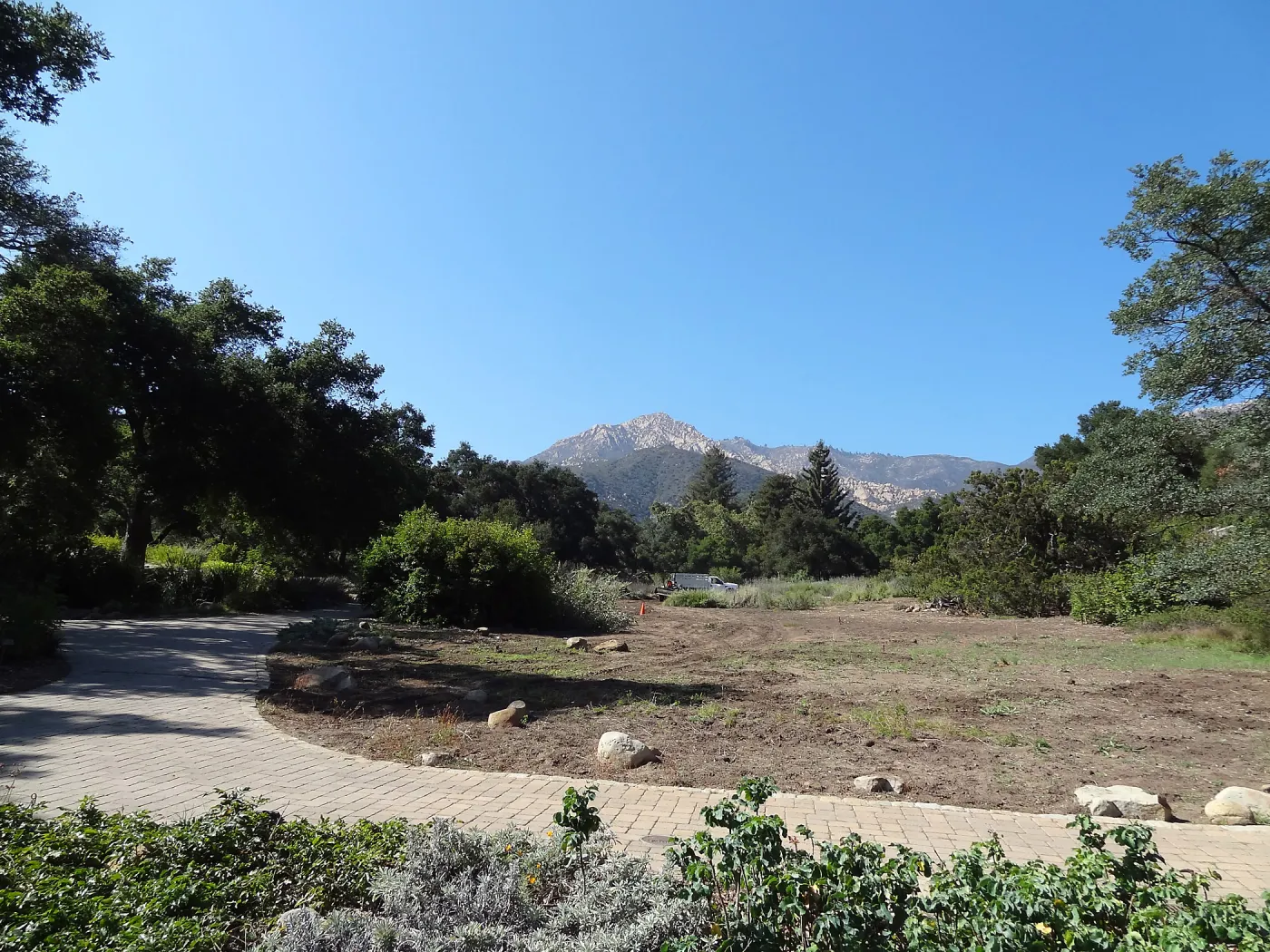 SBBG Meadow Revival Project, August 2013
