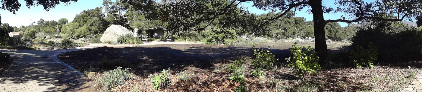 SBBG Meadow Revival Project, August 2013, panorama