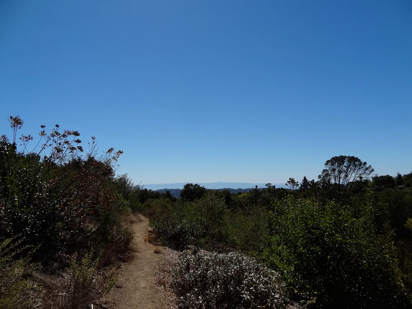 View to the Channel Islands from the Porter Trail, SBBG
