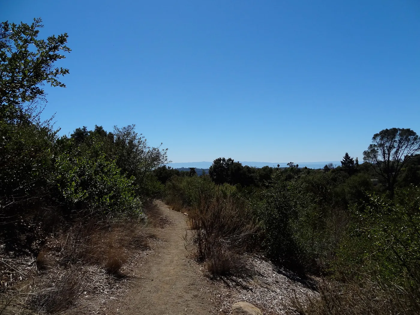View to the Channel Islands from the Porter Trail, SBBG