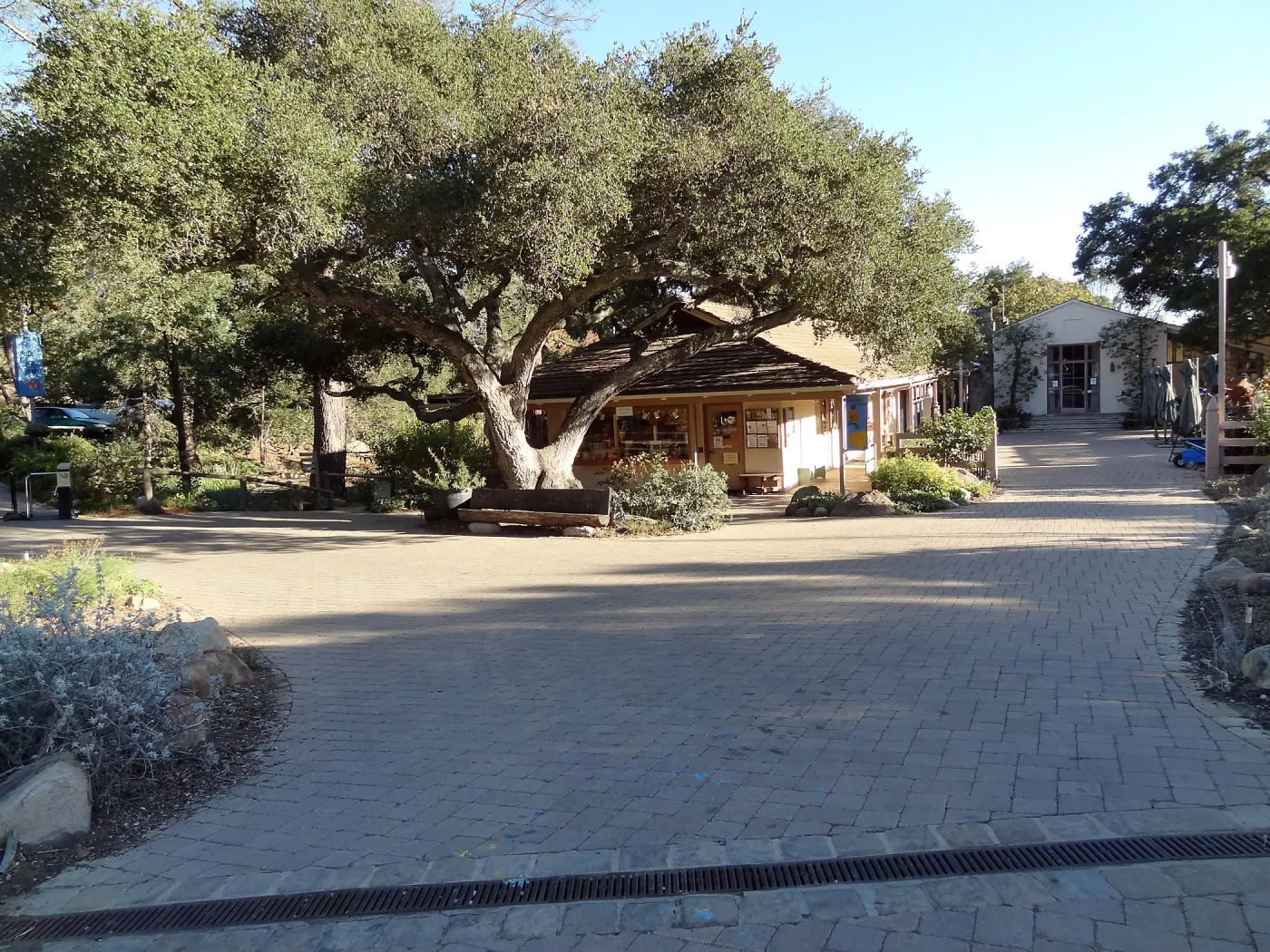 Garden Entrance, Garden Shop, Courtyard, Blaksley Library, entrance oak, wood bench, pre plant sale set up