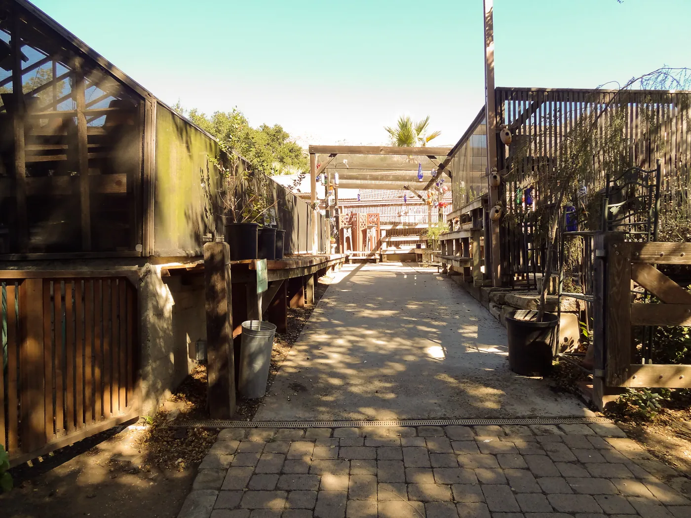 SBBG Fall Plant Sale 2013 set up in the Garden Courtyard and Garden Growers Nursery