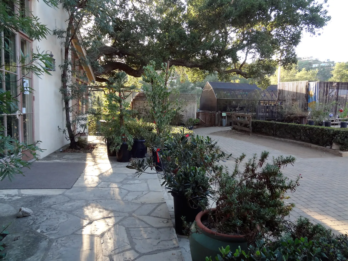 SBBG Fall Plant Sale 2013 set up in the Garden Courtyard and Garden Growers Nursery