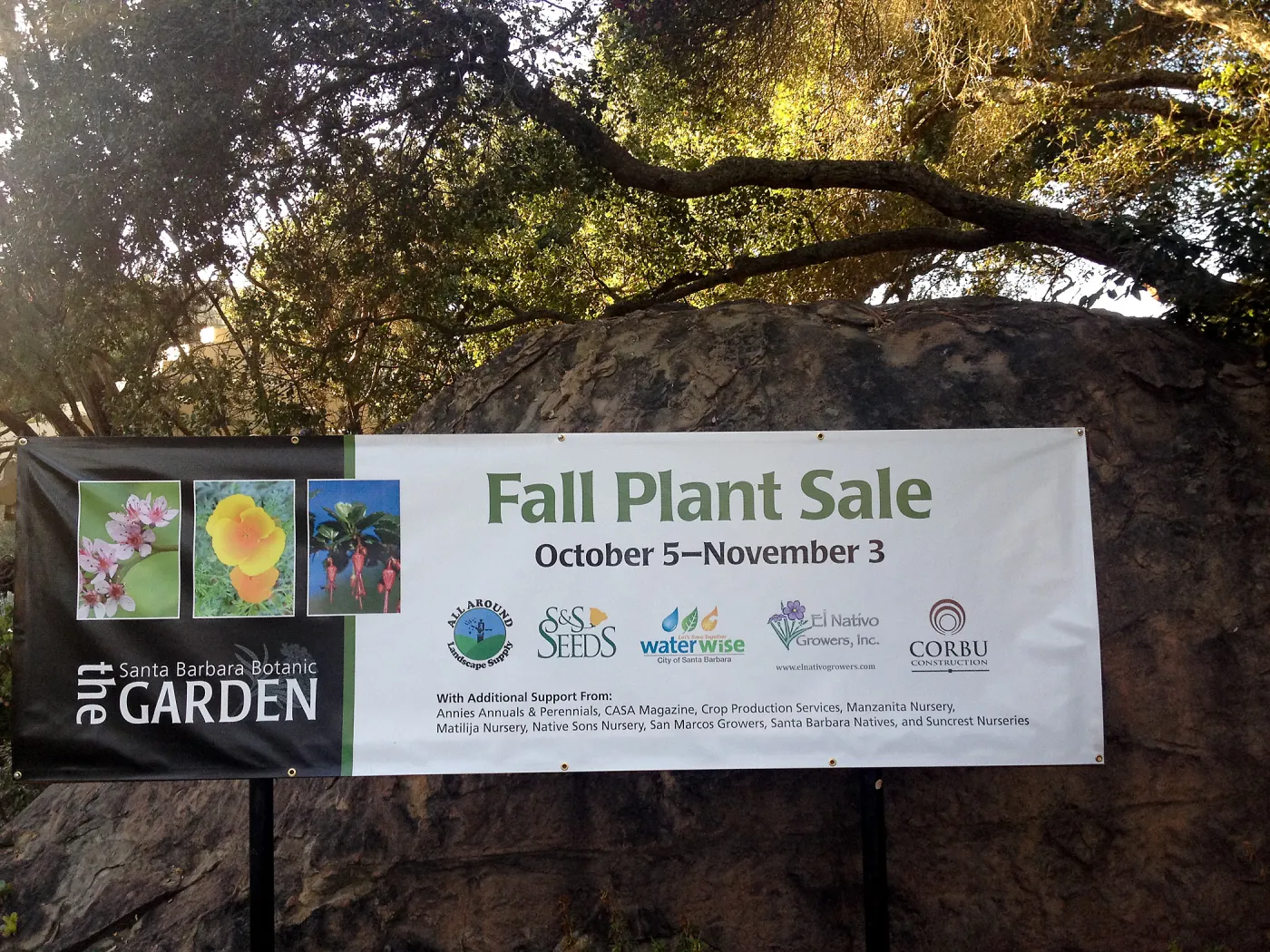 Fall Plant Sale 2013, banner at Garden entrance, SBBG