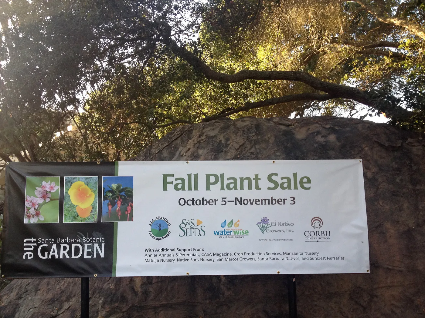 Fall Plant Sale 2013, banner at Garden entrance, SBBG