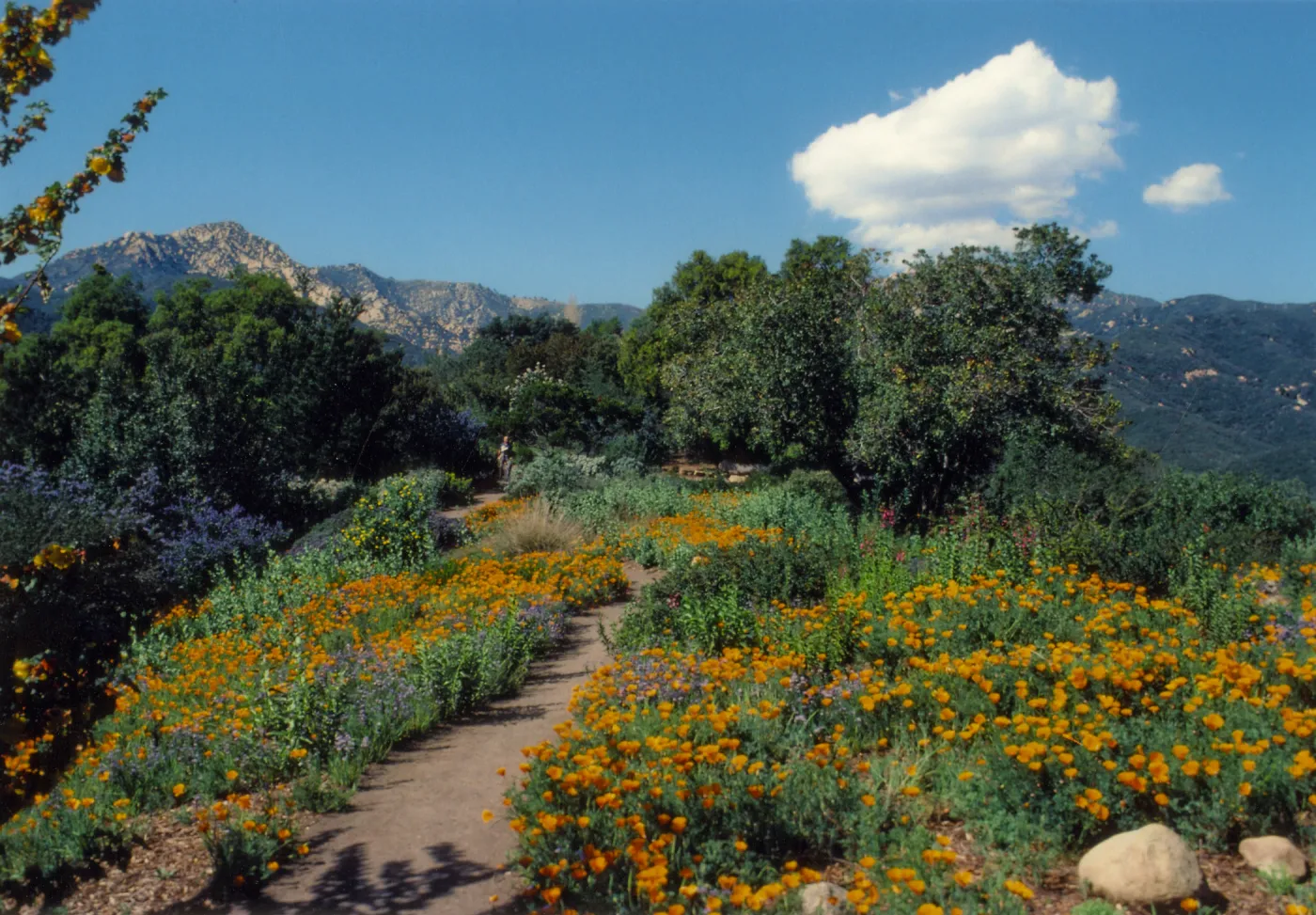Porter Trail 