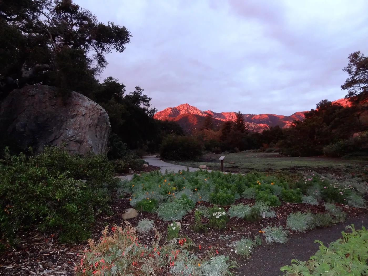 SBBG 20th Annual Holiday Marketplace 2013, sunset