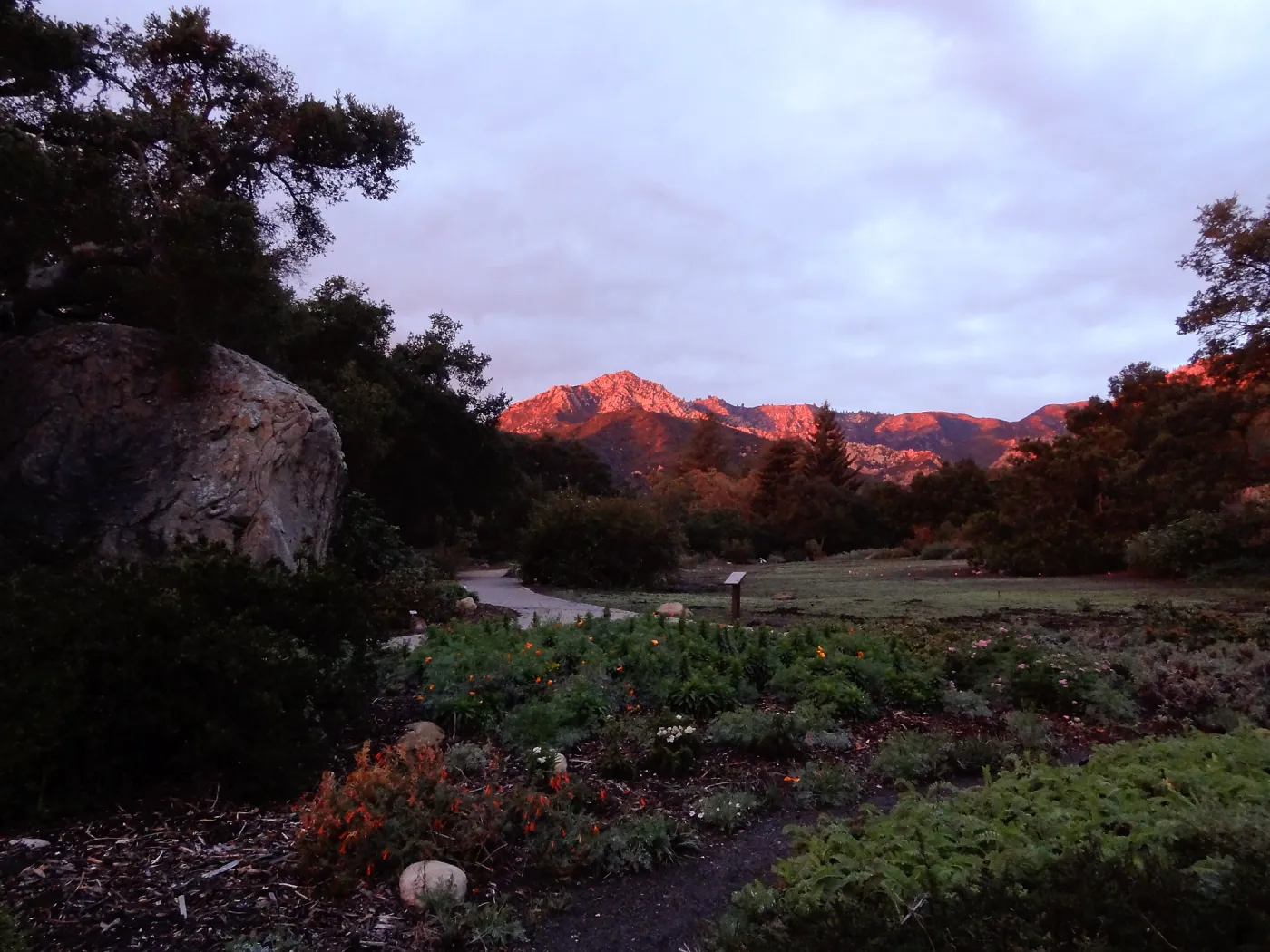 SBBG 20th Annual Holiday Marketplace 2013, sunset