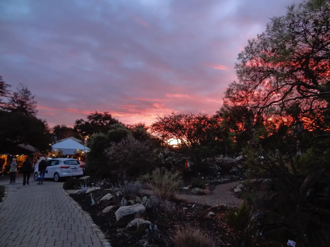 SBBG 20th Annual Holiday Marketplace 2013, sunset