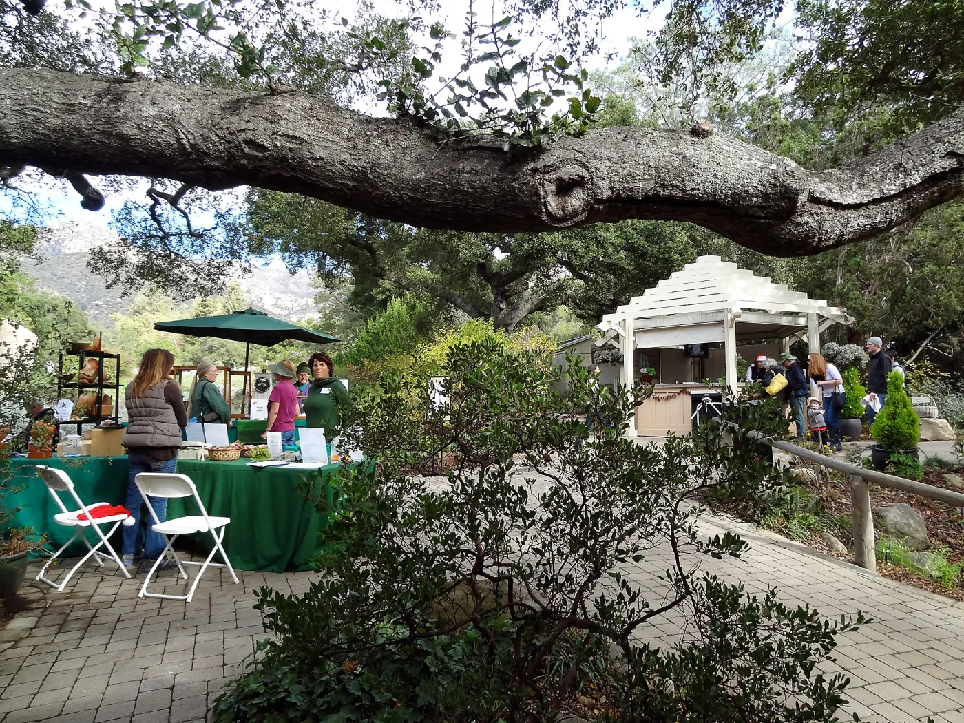 SBBG 20th Annual Holiday Marketplace 2013