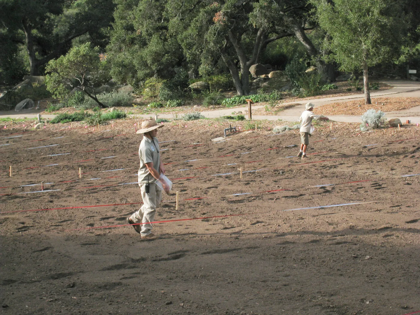 Riley Kriebel and Jason Nelson Sowing Lupine, Meadow Revival Project