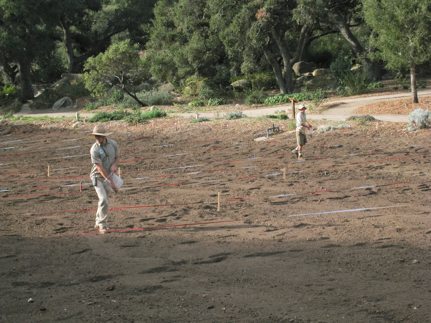 Riley Kriebel and Jason Nelson Sowing Lupine, Meadow Revival Project
