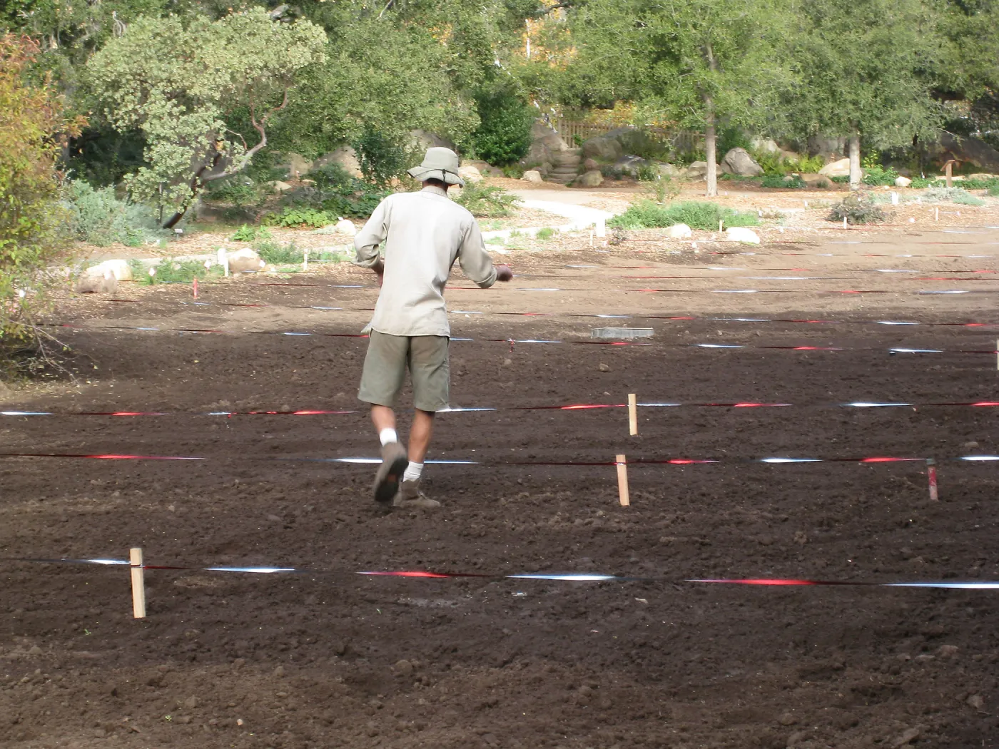 Sowing Small Wildflower Seeds, Meadow Revival Project
