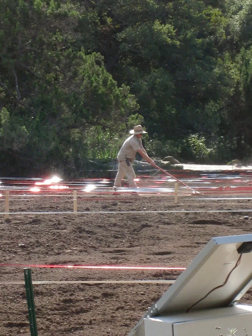 Raking Lupine Seeds into Soil, Meadow Restroration Project