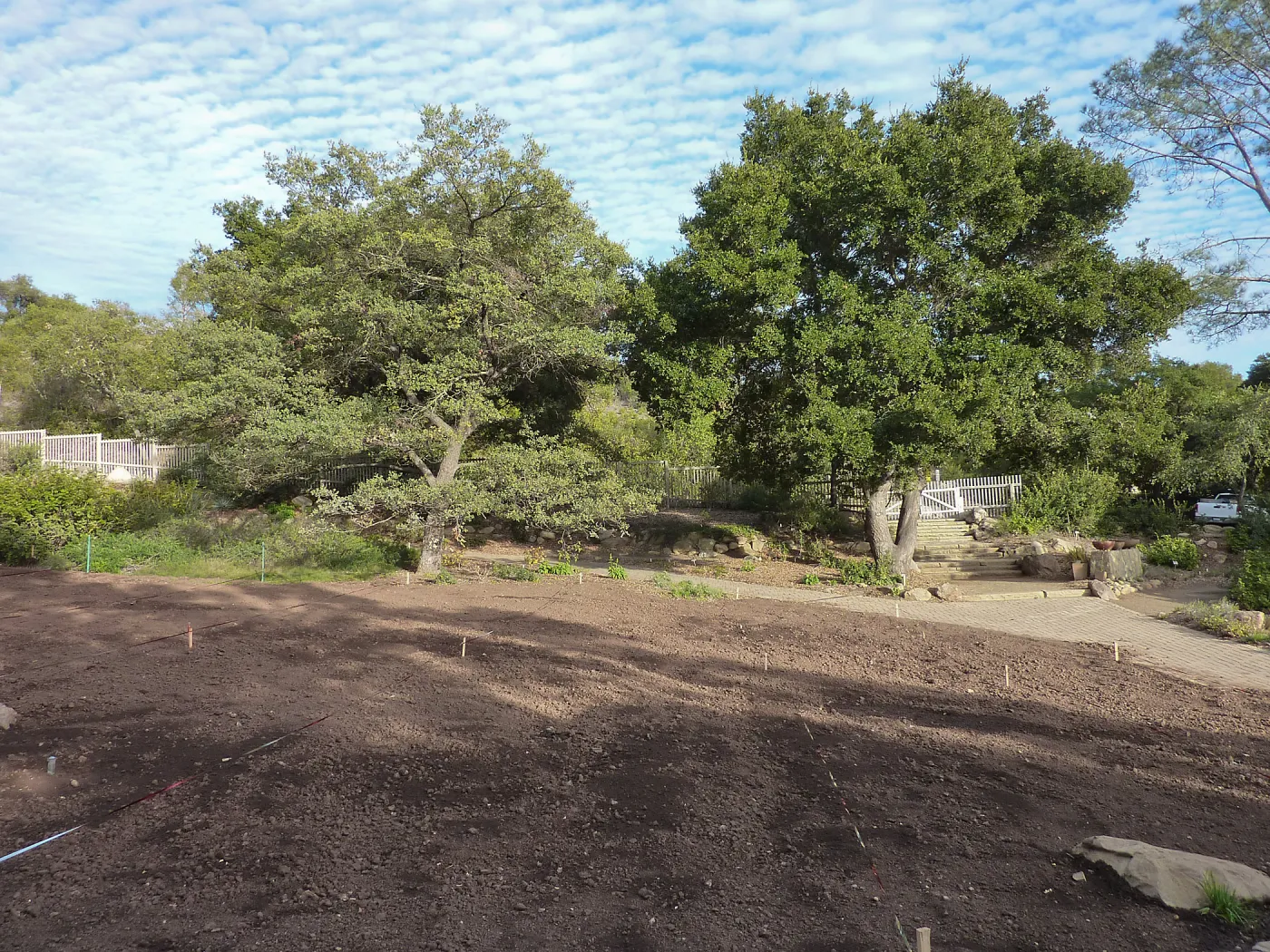 Lower end of Meadow, Meadow Revival Project
