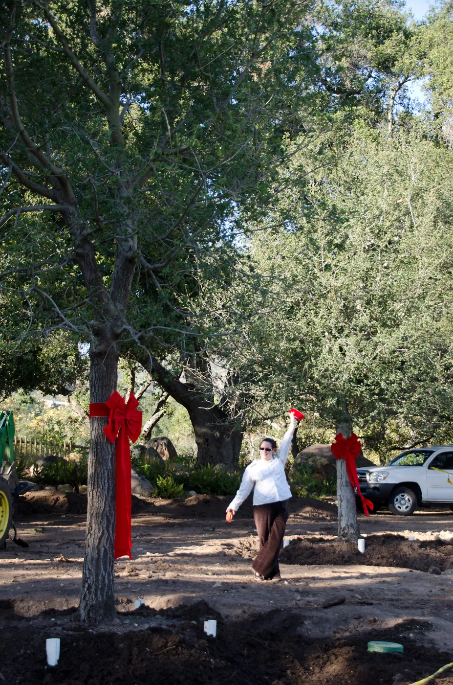 Red ribbons, new oaks arrive at SBBG, Meadow Oaks, Joni Kelly