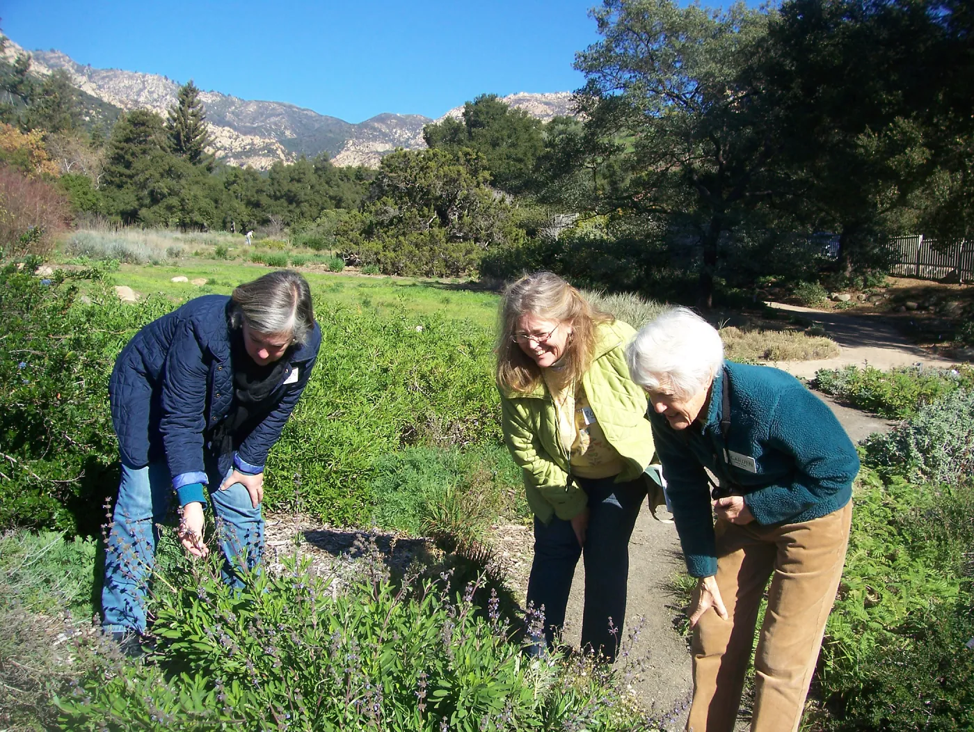 California Naturalists, SBBG, Judy Sanregret, Susan Davidson, Cathy Rose
