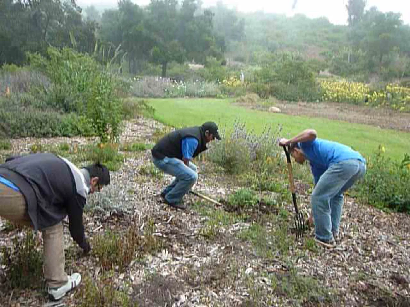 Volunteers from Citrix, Dirty Hands Brigade