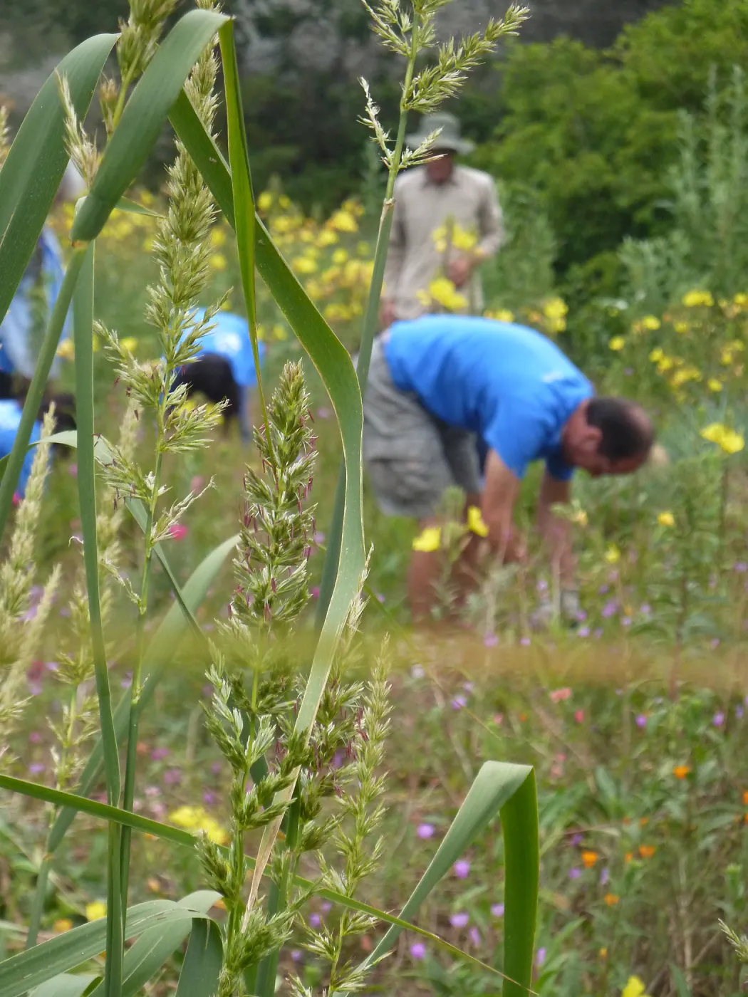 Volunteers from Citrix, Dirty Hands Brigade