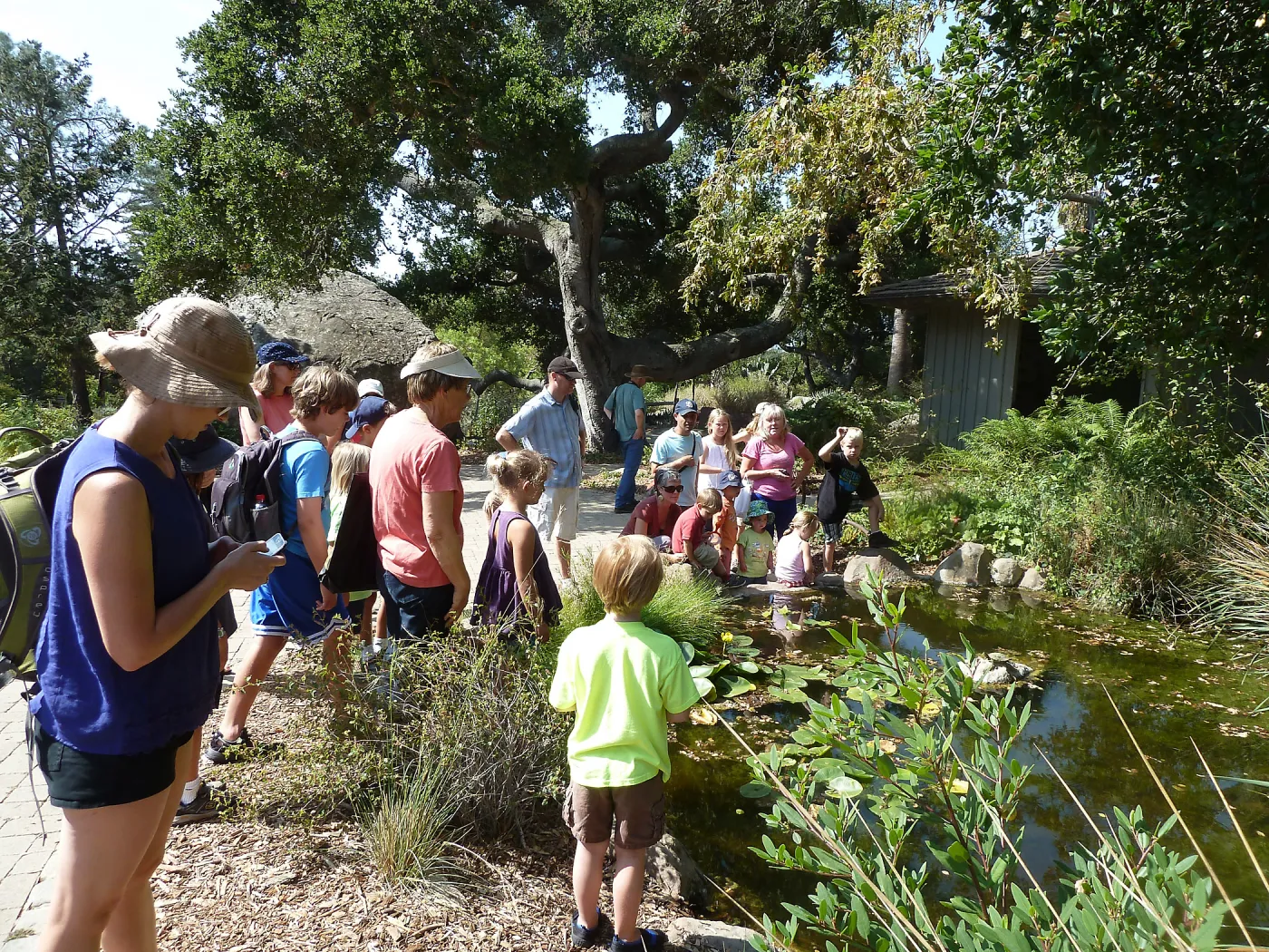 Creek Critters, childrens class