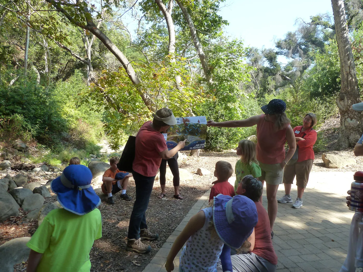 Creek Critters, childrens class