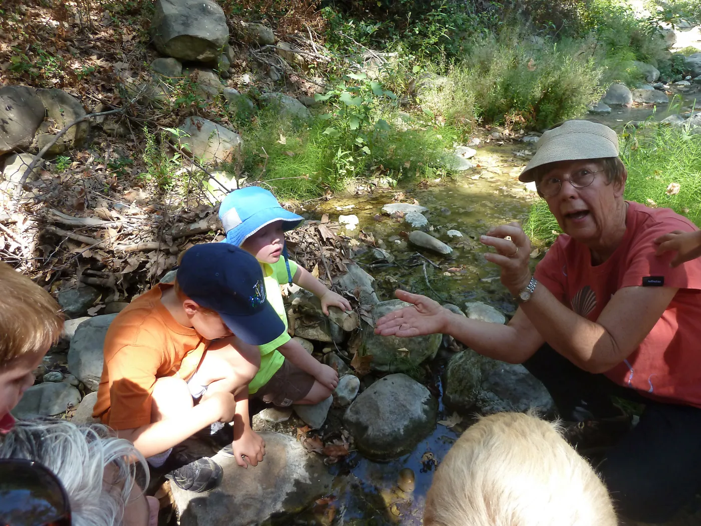 Creek Critters, childrens class