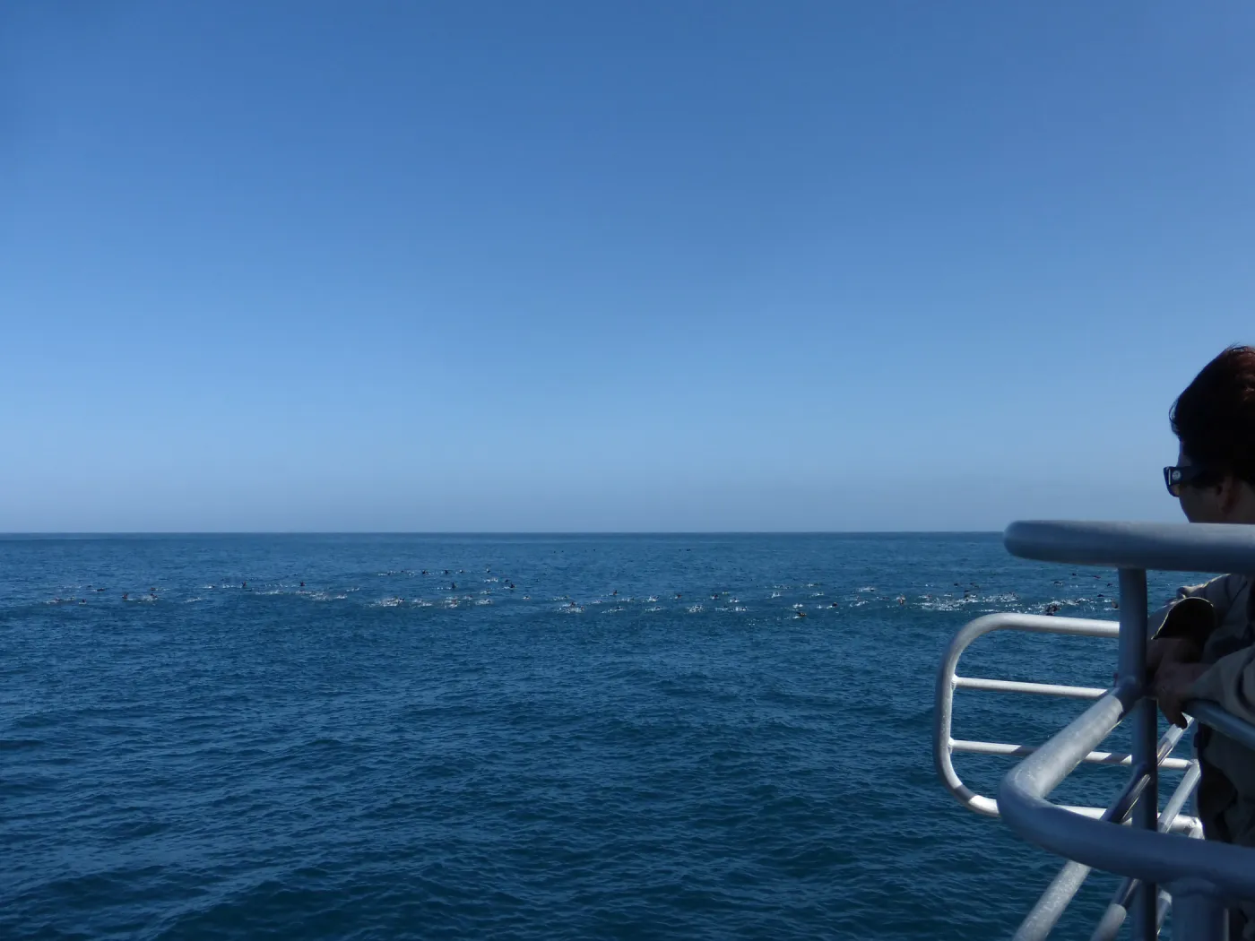 Steve Junak Retirement Trip to Santa Cruz Island