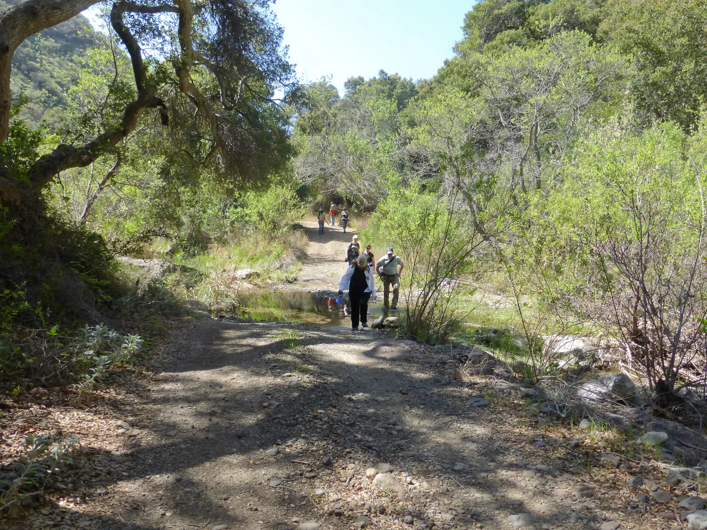 Steve Junak Retirement Trip to Santa Cruz Island