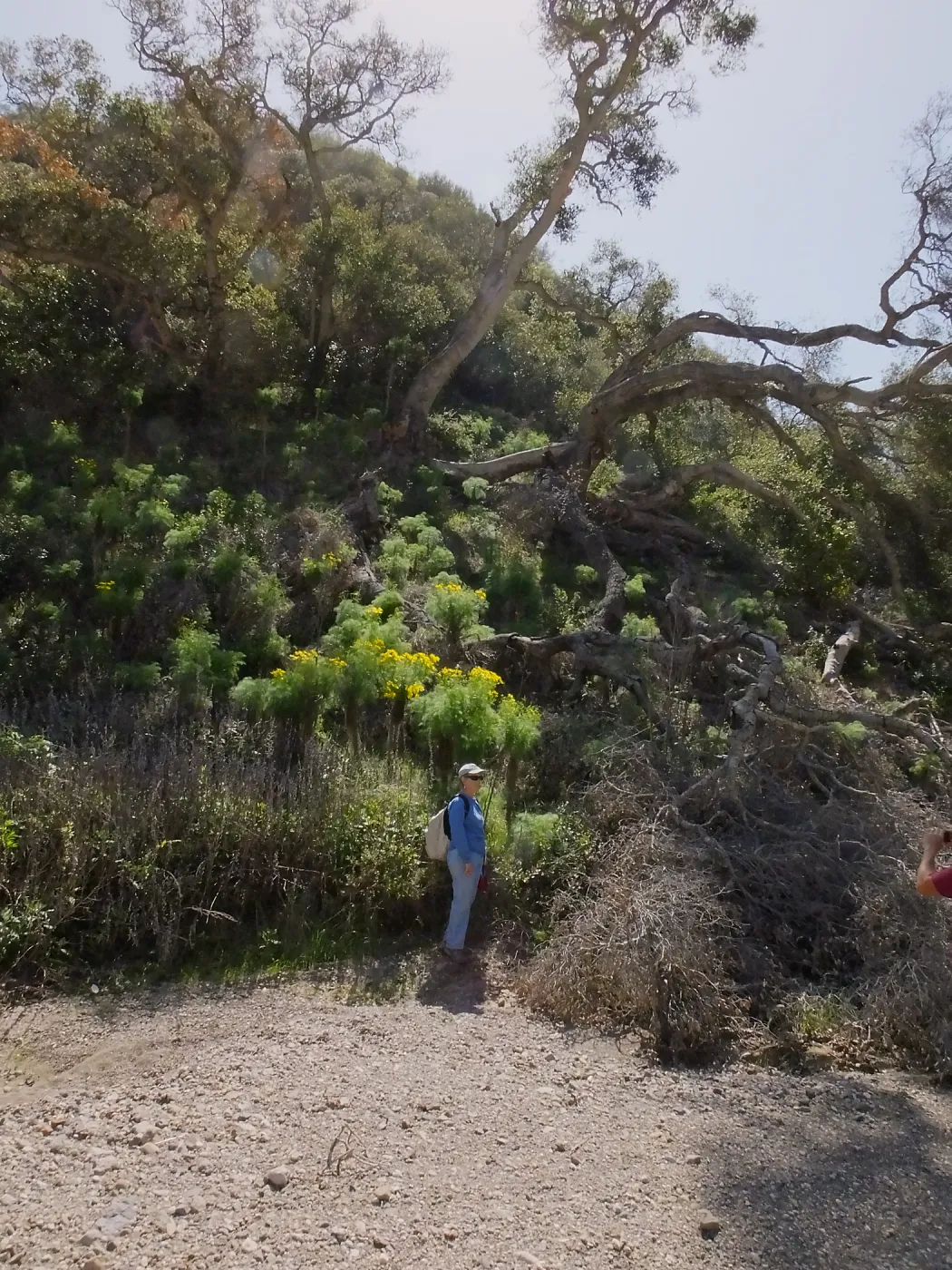 Steve Junak Retirement Trip to Santa Cruz Island