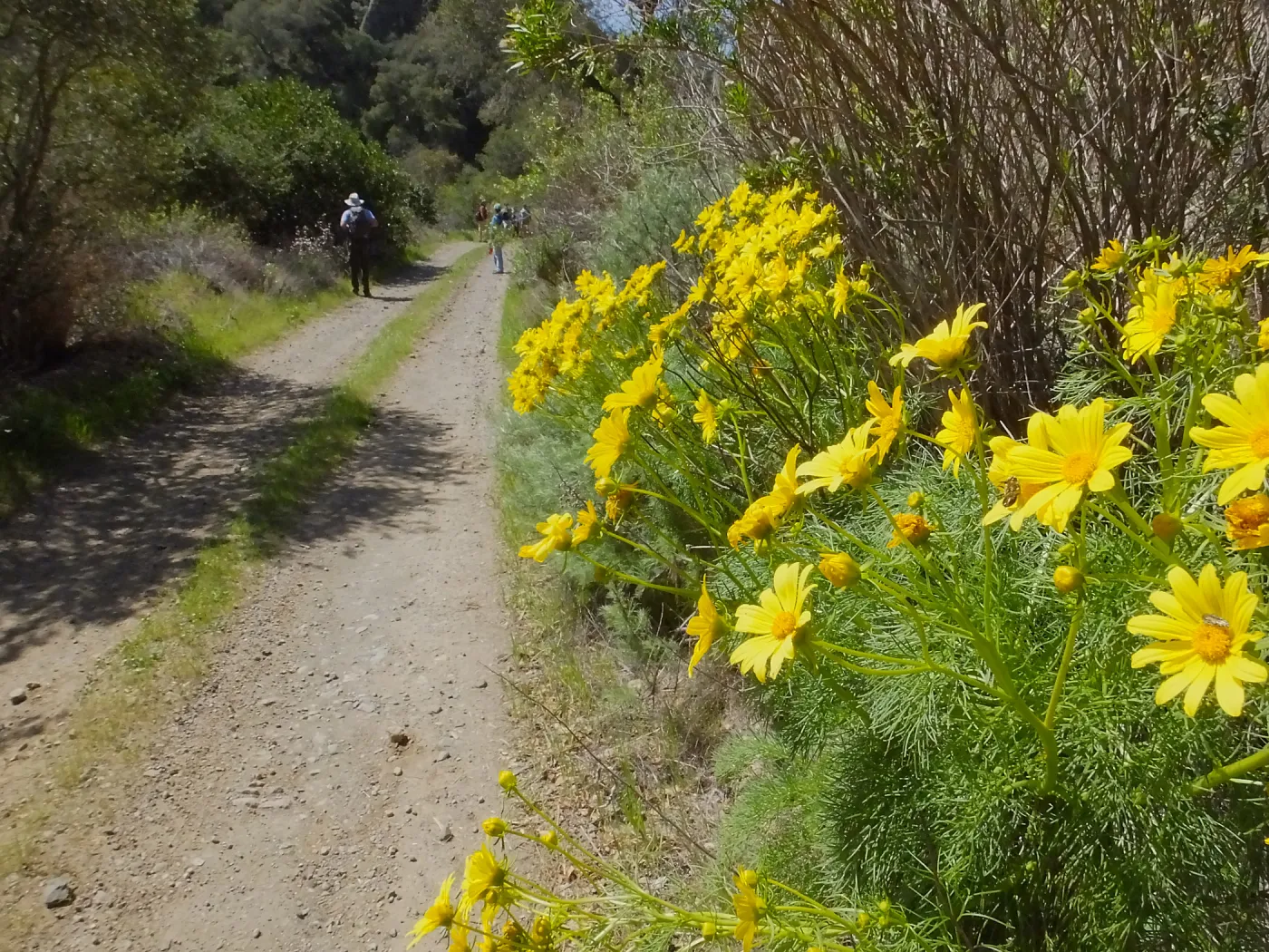 Steve Junak Retirement Trip to Santa Cruz Island