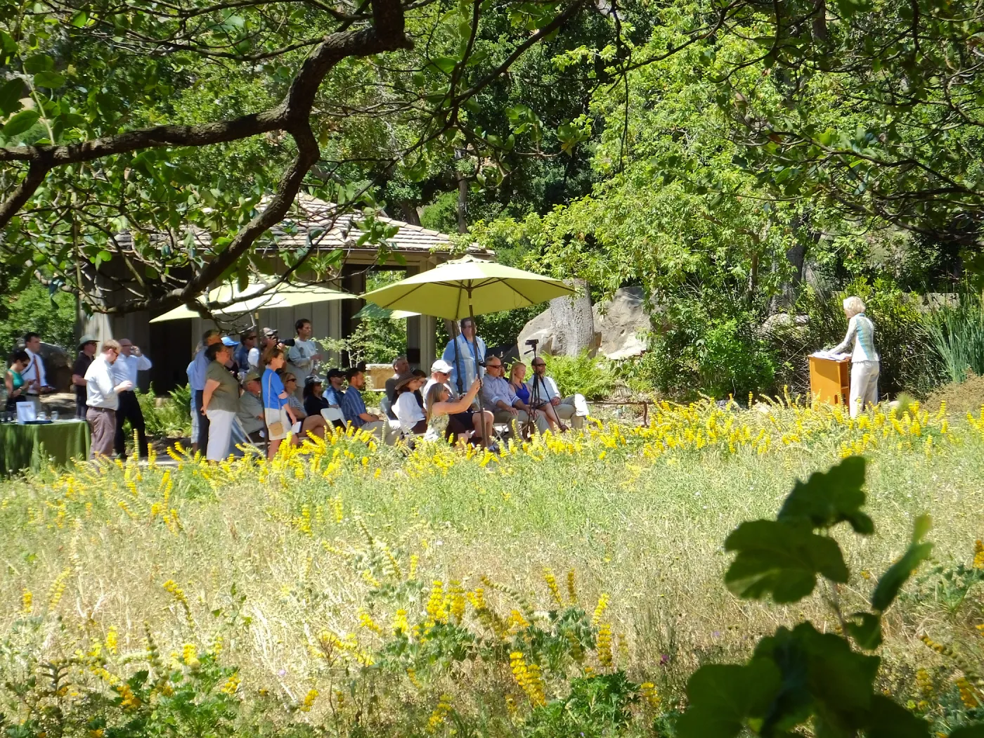 Central Coast Heritage Protection Act Press Conference