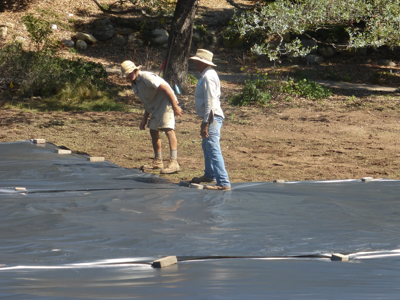 Meadow Revival Project Black Plastic Mulch Installation