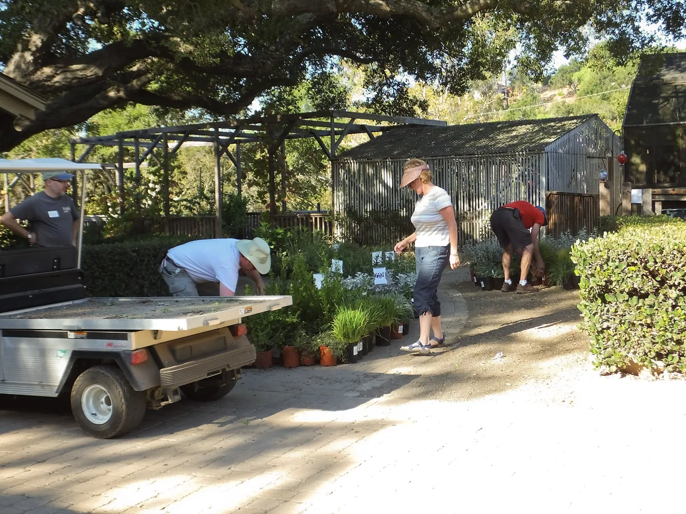 Fall Plant Sale 2014 Preparations