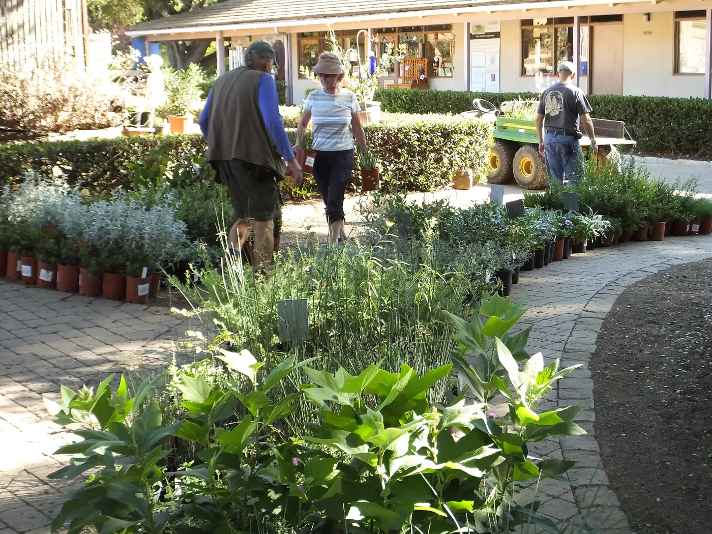 Fall Plant Sale 2014 Preparations