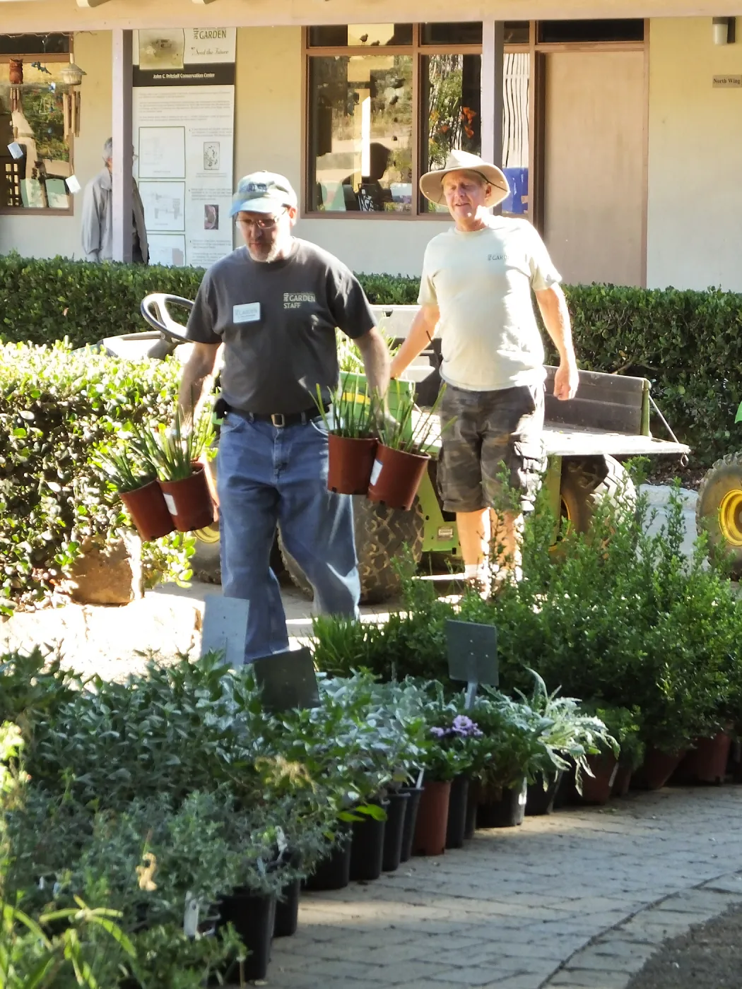 Fall Plant Sale 2014 Preparations