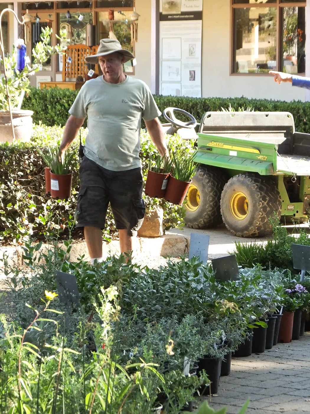 Fall Plant Sale 2014 Preparations
