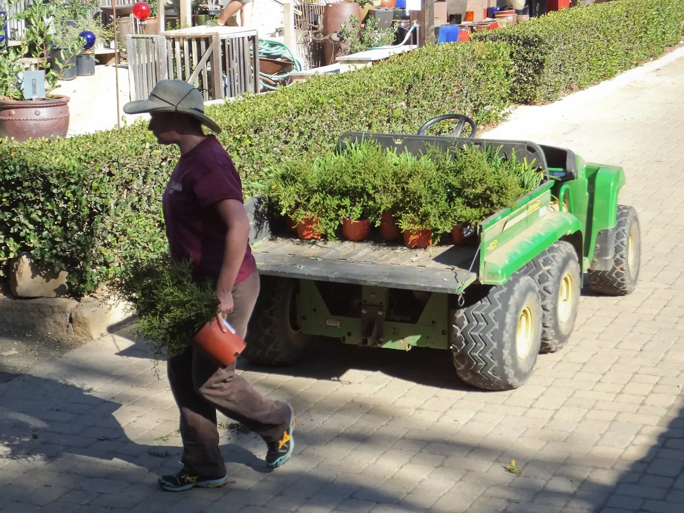 Fall Plant Sale 2014 Preparations