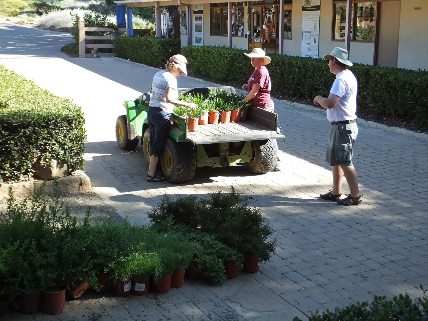 Fall Plant Sale 2014 Preparations