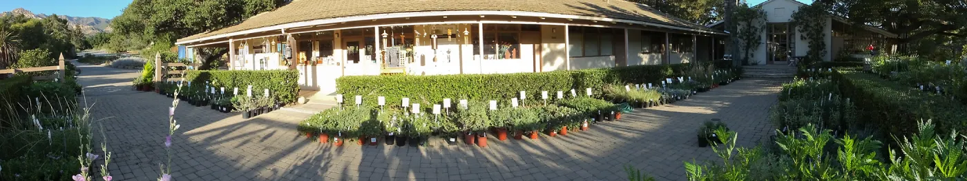 Fall Plant Sale 2014 Preview Eve Plant Display