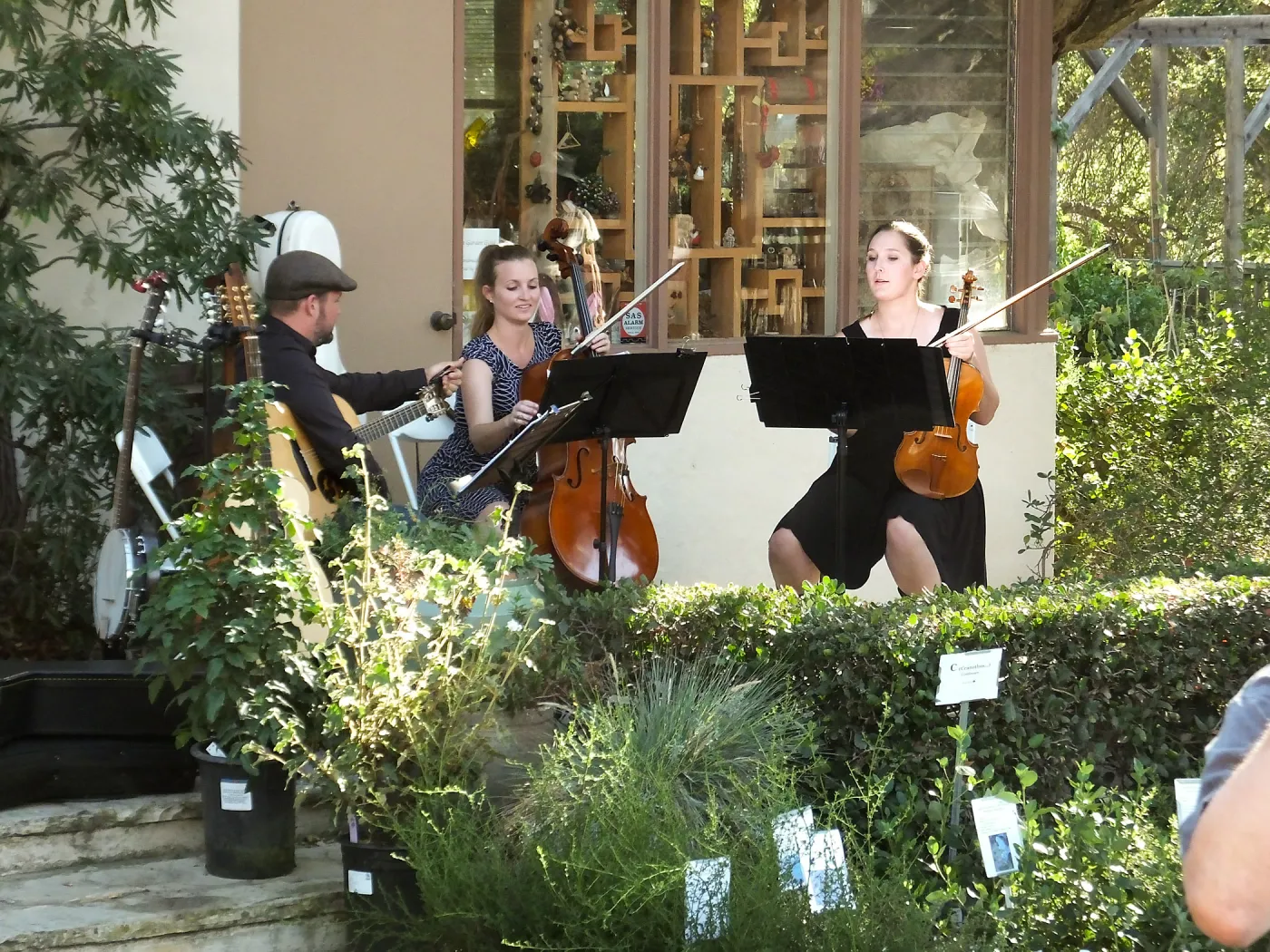 Fall Plant Sale 2014 Member Preview Party, Mission Creek Trio