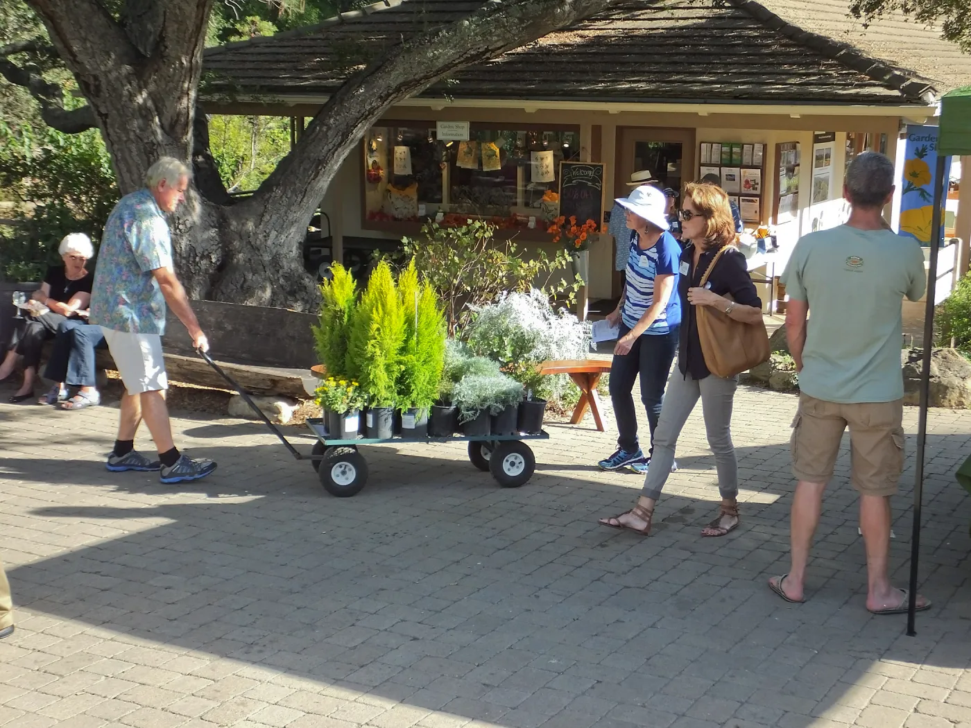 Fall Plant Sale 2014 Member Preview Party