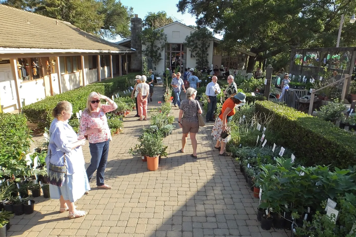 Fall Plant Sale 2014 Member Preview Party